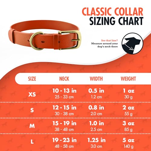 Tuff Pupper Classic Heavy Duty Dog Collar | 10x Stronger Than Leather | 100% Waterproof & Odor Proof Dog Collar | Tough Rust-Proof All Metal Hardware - color: Burnt Orange