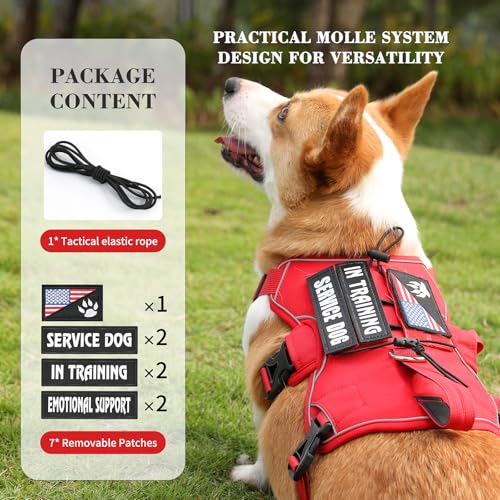 VOOPET Escape Proof Dog Harness, Soft Padded Full Body Pet Harness, Reflective No Pull Dog Harness with Handle and 2 Leash Clips for Small Dogs Walking Hiking Training (Red,S)