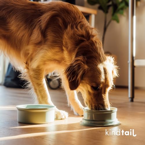 KindTail Dog Travel Bowls - Set of 2 Portable Pet Food & Water Dishes with Lid & Handle - Each Nesting Container Includes a Non-Slip Silicone Base - Microwave & Dishwasher Safe - BPA & Toxin-Free - color: Grey, size: Large