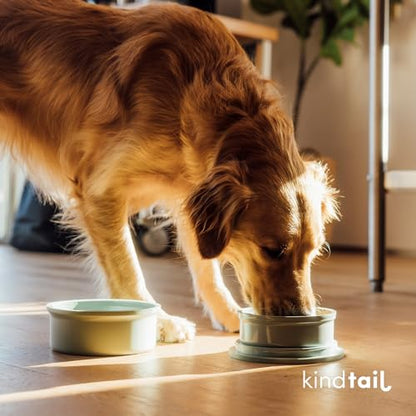 KindTail Dog Travel Bowls - Set of 2 Portable Pet Food & Water Dishes with Lid & Handle - Each Nesting Container Includes a Non-Slip Silicone Base - Microwave & Dishwasher Safe - BPA & Toxin-Free - color: Grey, size: Large