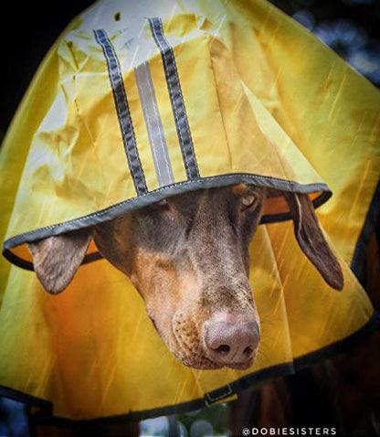 SPOT Rainy Days Slicker - Yellow Dog Rain Jacket With Hood, Reflective Strip for Safety, Leash Hole & Adjustable Velcro Belly Strap, 100% Polyester Water Resistant Pet Raincoat - X-Large, 21in Long - size: X-Large