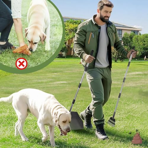 T2Y Pooper Scooper, Long Handle Dog Pooper Scooper, Adjustable Stainless Steel Rake & Spade & Extra Large Tray, Durable Poop Scoopers for Yard, Lawn, Snowfield, Suitable for Multi-Dog Family - size: Rake & Spade & Large Tray