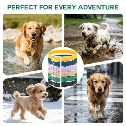 Wisedog Small Puppy Collar, Pine Green, XS 7"-10" × 1/2" | Soft Rubber Coated Webbing, For Small Dogs Cats, Cute Pet Collars - color: Pine Green
