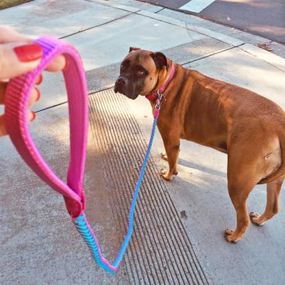 2/3/4/6/10 ft Reflective Dog Leash Strong Nylon Rope Braided Heavy Duty for Large Medium Small Dogs Walking Training Leads (Pink, 6ft * 1/2") - color: Pink, size: 6ft * 1/2"