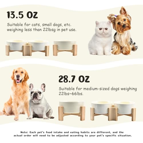 SPUNKYJUNKY 15° Slanted Ceramic Dog and Cat Bowl with Wooden Stand, Tilted Bulldog Food and Water Bowl No Slip Non-Spill for Cats Medium Dogs Big Face Pets 13.5 OZ (1.7 Cups, Beige × 2) - color: Beige, size: 1.7 CUPS × 2