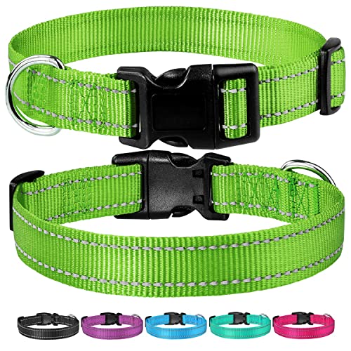 Reflective Dog Collar with Buckle Adjustable Safety Nylon Collars for Small Medium Large Dogs, Grass Green XXS - color: Grass Green, size: XX-Small :Width 3/8",Neck 8-12"
