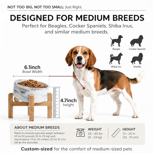 hjn Elevated Ceramic Dog Bowl 15°Slanted Raised Dog Bowl with Bamboo Stand for Small Medium Dogs and Cats, Pet Feeder -3.6-Cup (850ml)-Marble Gray - color: Marble Gray, size: 3.6Cup