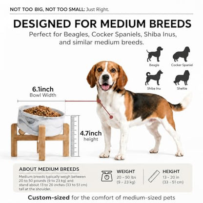 hjn Elevated Ceramic Dog Bowl 15°Slanted Raised Dog Bowl with Bamboo Stand for Small Medium Dogs and Cats, Pet Feeder -3.6-Cup (850ml)-Marble Gray - color: Marble Gray, size: 3.6Cup