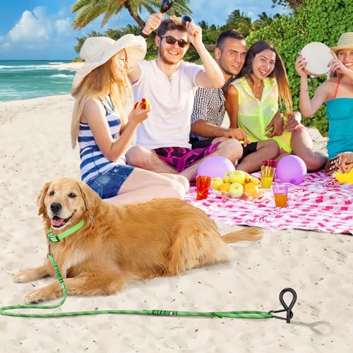 Beach Dog Stake Anchor - 360° Swivel Dog Tie Out Stake for Dogs Up to 250 lbs, Heavy Duty Beach Essentials for Outside Yard Ground Sand Camping