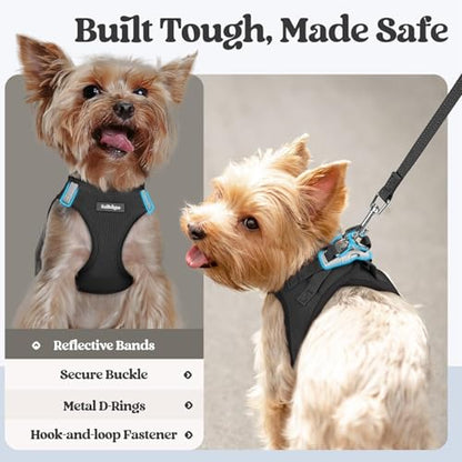 rabbitgoo Dog Harness Small Sized and Leash Set, Step in Soft Light Puppy Vest, Breathable Mesh Pet Harness, Reflective for Safe Easy Walking, Black XXS - color: Black, size: Xxs (chest: 12.4 - 14.2")