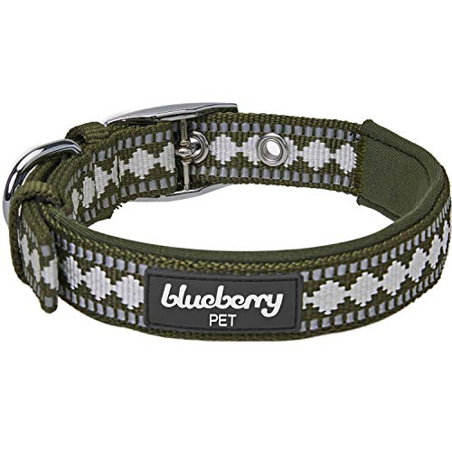 Blueberry Pet Reflective Jacquard Dog Collar with Neoprene Padding & Metal Buckle | Soft & Adjustable Safety Collar - Olive, Neck 13-16.5", for Medium Breed - color: Metal Buckle-Olive, size: Medium