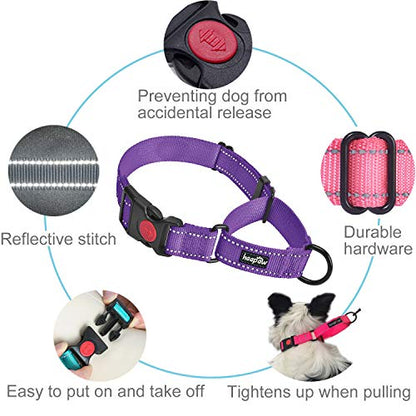 haapaw Martingale Dog Collar with Quick Release Buckle Reflective Dog Training Collars for Small Medium Large Dogs - color: Purple, size: S