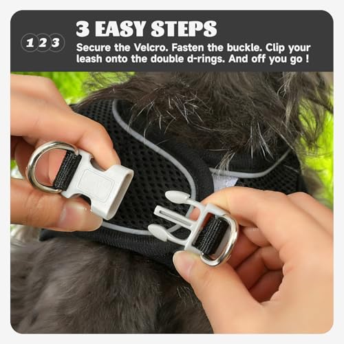 Dog Harness Small Sized and Leash Set, Step in Soft Light Puppy Vest, Breathable Mesh Pet Harness, Reflective for Safe Easy Walking. - color: Black, size: X-Small (Pack of 1)