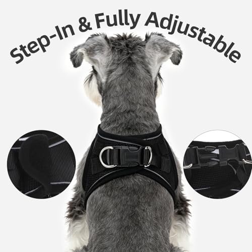 PUPTECK Dog Harness and Leash Set for Small Medium Dogs No Pull Step-in Soft Mesh Puppy Cat Vest Harnesses Reflective at Night, Black Bow Tie, S - color: #3 Black(Bow Tie), size: S(CHEST 14.5"-16", 6.6-14 lbs)
