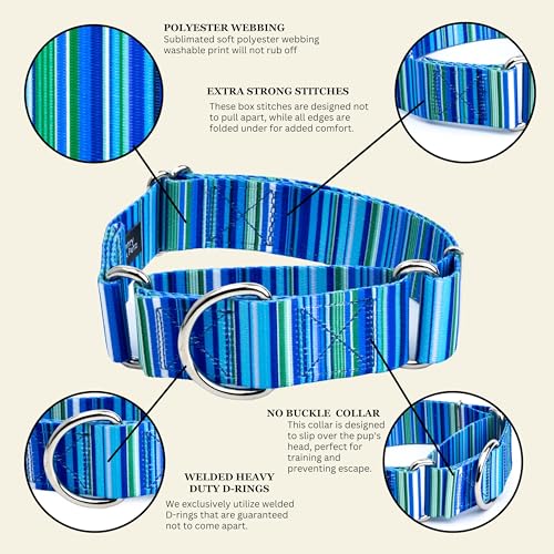 Country Brook Petz - HossFit Jr Wide Martingale Dog Collar - Country and Western Collection Featuring Rustic Designs (Blue Serape, Medium) - color: Blue Serape, size: Medium (Pack of 1)