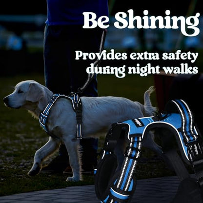 rabbitgoo Dog Harness Small Sized, No Pull Pet Harness with 3 Buckles, Adjustable Soft Padded Vest with Control Handle, Walking Reflective Pet Vest for Small Dogs, Sky Blue, S - color: Sky Blue, size: Small