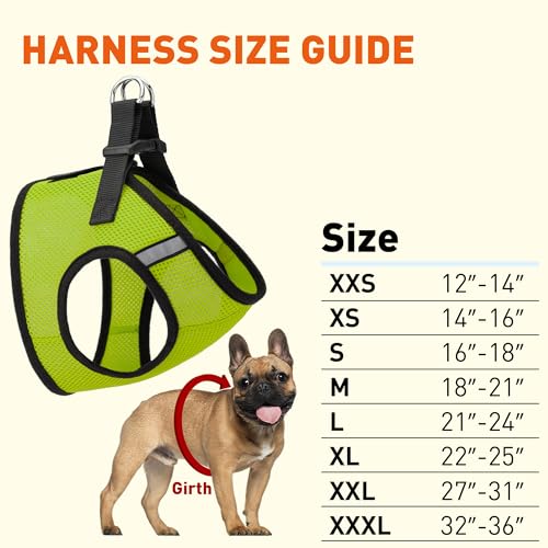 Dogline Boston Step in Mesh Dog Harness with Service Dog Patch No Choke Pet Vest Soft Gentle Padded Chest Halter for Puppies Small Medium and Large Dogs 14 to 16 inches Girth Lime Green - color: Lime Green, size: Girth 14 to 16"