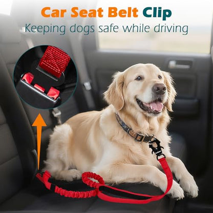 PetBonus Heavy Duty Tactical Dog Leash, 5 FT Bungee Shock Absorption Leash with 2 Padded Handles, Quick Release Metal Clip, Car Seatbelt, No Pull Training Lead for Large Medium Dogs（Red） - color: Red