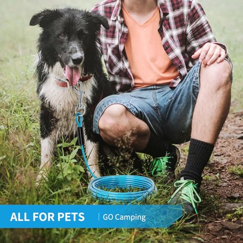 Dog Tie Out Cable, 30 FT Heavy Duty Dogs Lead Cable with Detachable Shock Spring, Dog Runner Chains for Outside Yard Camping Hold Small or Medium Dogs (30feet, up to 160lbs)