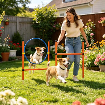 Agility Course for Dogs - Dog Agility Trainer Set with Tunnel, Interactive Training Equipment | Outdoor Exercise and Recreation Gear for Park Garden Beach Field - size: B