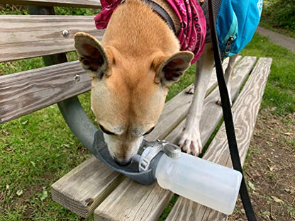 Lixit Thirsty Dog Portable Water Bottle and Bowl, 20 Ounce - size: 16 oz