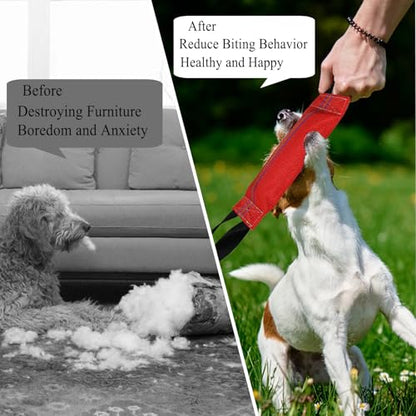 Floating Dog Toy for Pool, Medium & Large Dogs, Lightweight Interactive Tug of War, Fetch & Retrieving Water Toy for Beach, Dock Diving & Outdoor Training