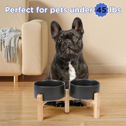SPUNKYJUNKY Elevated Dog Bowls Ceramic, 6.1'' Dogs and Cat Food Water Bowls Raised with Non-Slip Bamboo Stand for Medium Sized Breed Microwave Dishwasher Safe - 28.7 OZ,Black - color: Black, size: 6.1 in - 3.6 cups