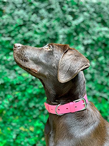 Tuff Pupper Classic Heavy Duty Dog Collar | 10x Stronger Than Leather | 100% Waterproof & Odor Proof Dog Collar | Tough Rust-Proof All Metal Hardware - color: Punch Pink
