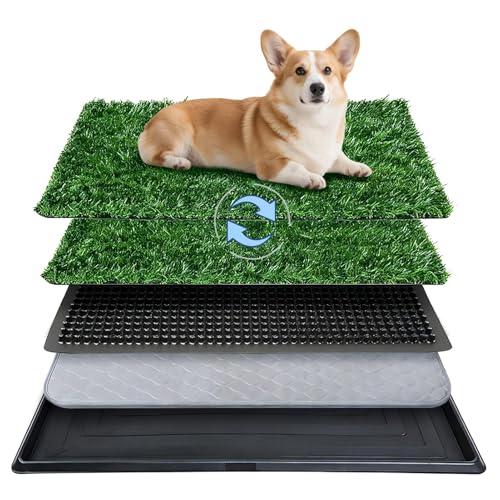 Dog Grass Pad with Tray,20"x25" Dog Litter Box, Artificial Turf Potty System with 2 Reusable Grass Patches + Washable Pee Pads, Portable Indoor Outdoor for Balcony Patio Apartment - size: Medium-2 Grass Pad with Changing pad