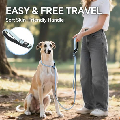 QQPETS Adjustable Slip Lead Dog Leash, Hands Free Waist Leash for Dog Walking, Reflective Training Lead with 360° Swivel Anti-Tangle, 4-7 ft Length for All Breeds - color: Blue Gradient
