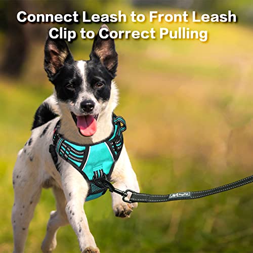 PoyPet No Pull Dog Harness, No Choke Front Clip Reflective Dog Vest with Soft Padded Vertical Handle, 3 Leash Attachments for Small Medium Large Dogs (Mint Blue,M) - color: Mint Blue, size: Medium