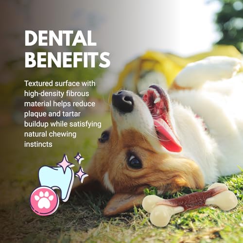 Consumable Corner - Super Nylon Dog Chew Bone - Beef Flavor Infused - for Teething & Aggressive Chewers - Long Lasting Durable Material - Safe for All Dogs - Small - 1 Bone - size: Small