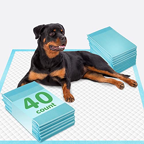 DEEP DEAR Extra Large Dog Pads 30"x26" (40 Count), Thicker Pet Training and Puppy Pads, Super Absorbent Pee Pads for Dogs, Leakproof Dog Potty Training Pads for Puppies, Cats, Rabbits, Pet Pee Pads XL - size: Thickened XL: 30"x26"-40 Ct