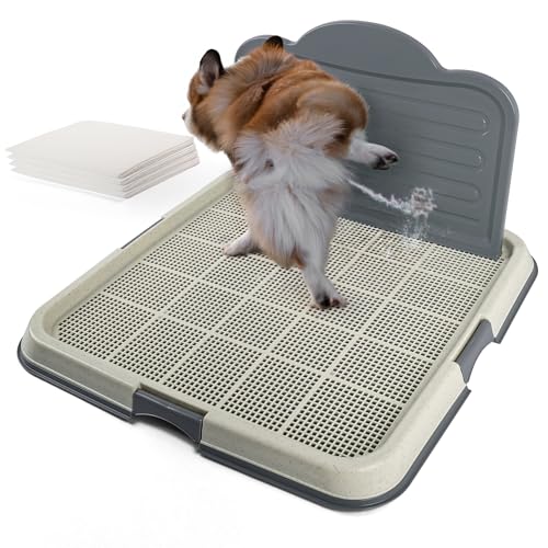 PAWISE Male Dog Pee Pad Holder with High Wall, 23.5"x23.5" Indoor Potty Tray for Medium/Large Dogs, Reusable Large Training Pad Holder with Splash Guard, Includes 4 Pee Pads, Anti-Slip & Easy to Clean