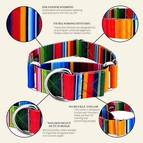 Country Brook Petz - HossFit Jr Wide Martingale Dog Collar - Country and Western Collection Featuring Rustic Designs (Serape, Medium) - color: Serape, size: Medium (Pack of 1)