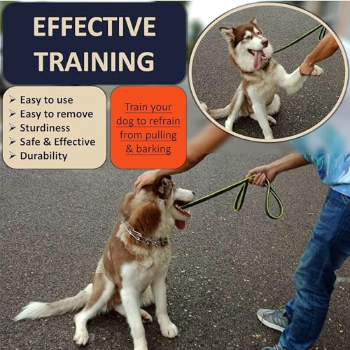 DEYACE Quick Release Dog Training Collar Adjustable Stainless Steel Collar for Small Medium Large Dog (Teal, S Neck Girth 11.2"-14.5") - color: Teal, size: S Neck Girth 11.2"-14.5"