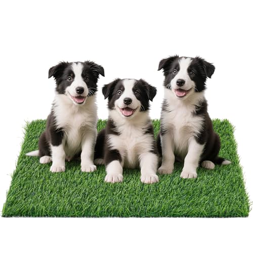 Artificial Grass Pad for Dogs Potty: 39X24.4 Inches Fake Grass for Dogs Puppy Potty Training to Pee and Poop on Balcony, Backyard, Patio, Apartment - Protect Floor and Furnitures, 2X Faster Drainage - size: XL-39"X24.4"