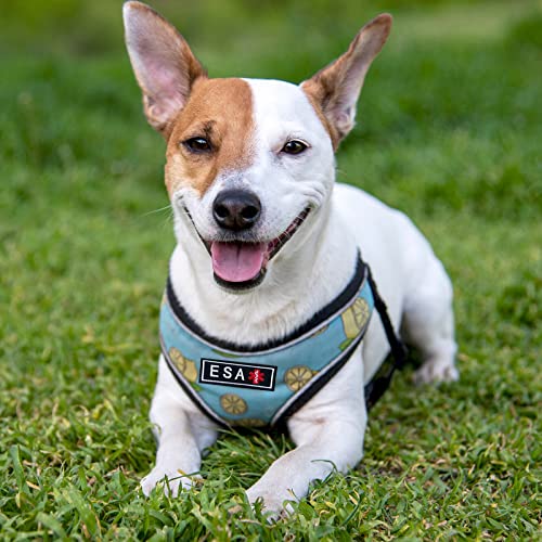 2 Pieces Emotional Support Animal Patch for Dog, Vest Removable Tactical Patches Hook and Loop Harness American Flag Dog Patches Set for Dog Harness Vest Collar - color: 2pcs, ESA