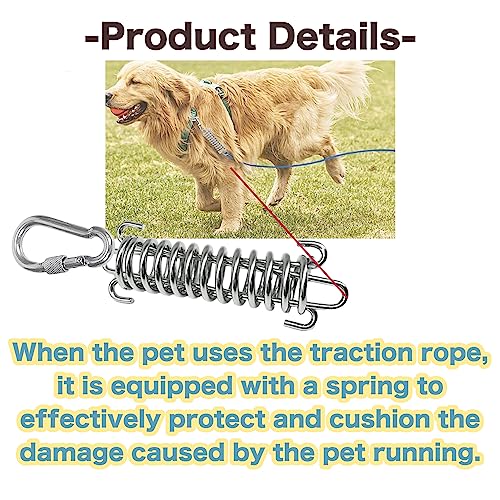 2 Pack Metal Bungee Leash Extension for Large Dogs, Tie Out Cable Attachment, Shock Absorbing Leash Spring for Training, Running