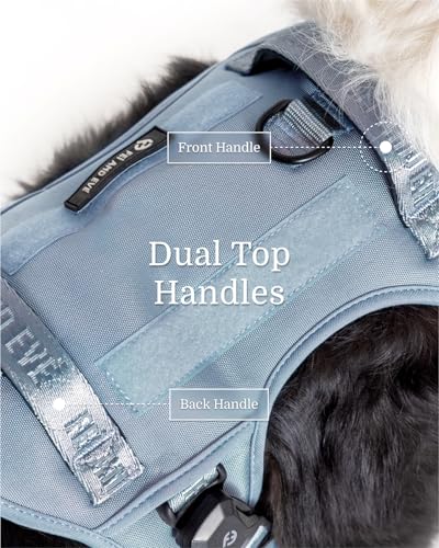 Fei & Eve MagEase 3-Second Magnetic Dog Harness | No-Pull Tactical Vest | Quick-Connect MOLLE w/3 Leash Clips | Heavy-Duty 900D Nylon | Adjustable w/Handle (Medium, Blue) - color: Blue, size: M