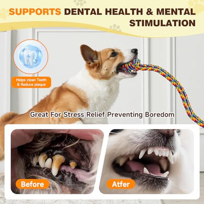 Interactive Dog Toy with Suction Cup, Rope Ball & Built-in Bell, Rainbow | Tug-of-War Interactive Play|Supports Puppy Teething & Healthy Chewing|Designed for Small Dogs|Solo Indoor Enrichment Toy - color: Rainbow(with Built-in Bell)
