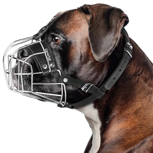 Metal Muzzle for Boxer Dog Breed – Bite Proof Boxer Muzzle for Medium and Large Sized Dogs – Steel Wire Basket Muzzles for Dogs English Bulldog, American Bulldog etc. - size: Medium