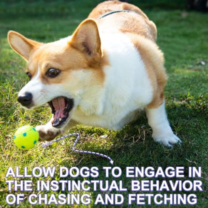 Dog Toy Balls for Small Dogs & Puppies, Chew & Chase Interactive 2” Soft Latex Balls, Durable Dogs Play Balls for Indoor/Outdoor (9 Pcs)
