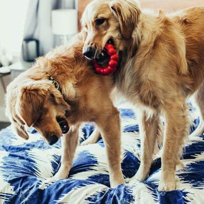 KONG Ring - Natural Rubber Ring Toy for Healthy Chewing Habits - Chew Toy Supports Dog Dental Health - Dog Toy Supports Instincts During Playtime - for Medium/Large Dogs - size: Medium