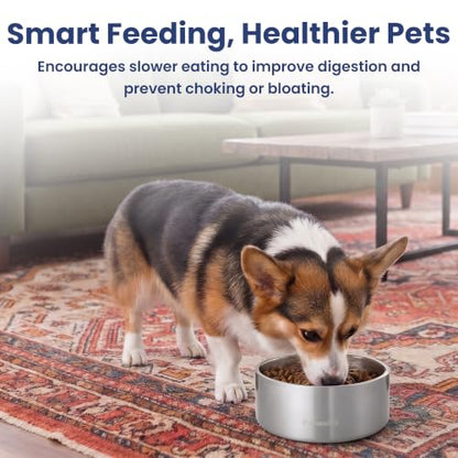PawsPik 64oz 18/8 Stainless Steel Slow Feeder Dog Bowl, Double-Wall Non-Slip Metal Dog Bowl for Fast Eating Medium & Large Breeds, Detachable Slow Feeder Insert, Dishwasher Safe (Arctic Steel Silver) - color: Arctic Steel Silver