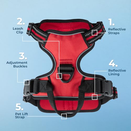 Voyager Dog Harness Dual Leash Attachment No-Pull Control Adjustable Soft but Strong Pet Harness for Medium and Large Dogs with 3M Reflective Technology, Red Lattice Nylon, S (Chest: 16-20") - color: Red Lattice Nylon, size: S (Chest: 16 - 20")