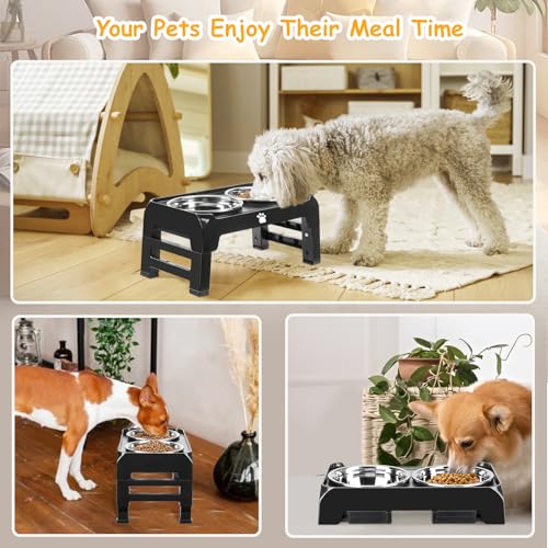 Elevated Dog Bowls 3 Height Adjustable Raised Bowl Stand with 25oz Stainless Steel Dog Food Bowls Anti-Slip for Small Dogs Adjusts to 7.5", 6", 2.75", Black - color: Black, size: Small dogs
