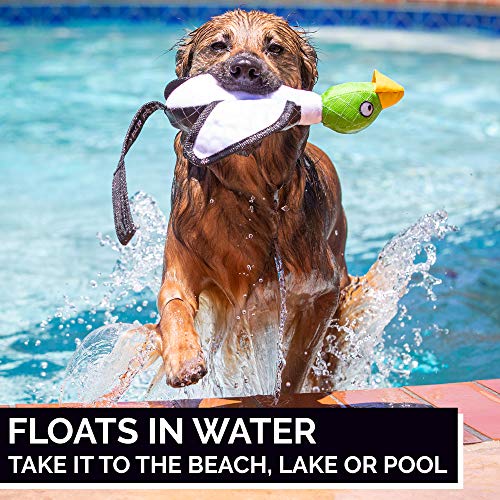 Hyper Pet Flying Series Interactive Dog Toys - Large Duck Slingshot Fetching Dog Toy - Floats on Water | Launch it soaring across the yard or water for splashy retrieval games, interactive bird design keeps pups running daily - size: Large, style: Duck Sl