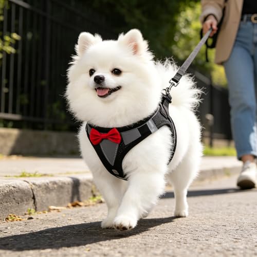 PUPTECK Dog Harness and Leash Set for Small Medium Dogs No Pull Step-in Soft Mesh Puppy Cat Vest Harnesses Reflective at Night, Black Bow Tie - color: #3 Black(Bow Tie), size: M(CHEST 16"-18", 11-18 lbs)