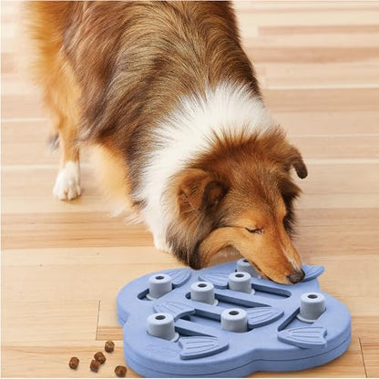 Outward Hound by Nina Ottosson Dog Hide N' Slide – Interactive Treat Puzzle Enrichment Toy, Level 2 Intermediate - color: Dog Hide-N-Slide (Purple)